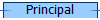 Principal